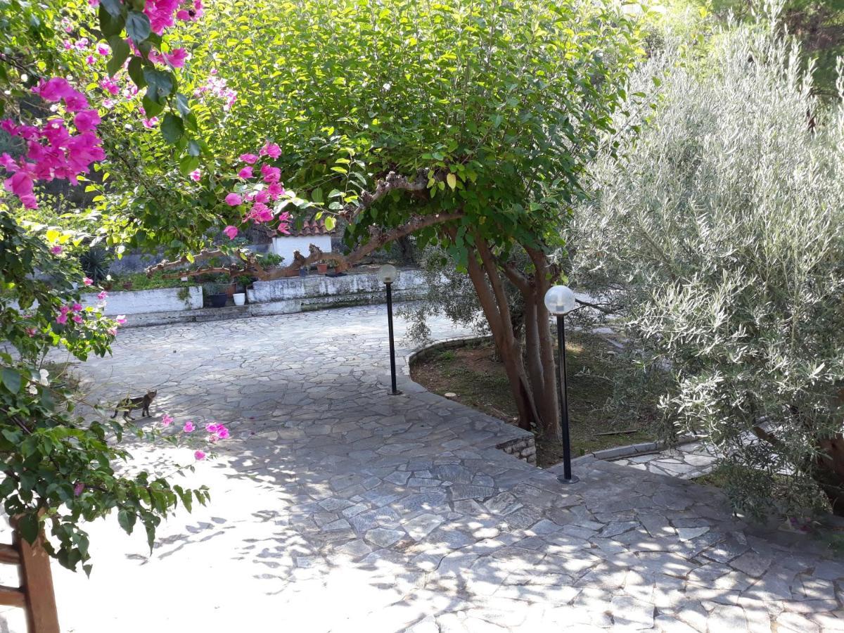 Σπίτι Σε Ελαιώνα, House In An Olive Grove Daire Ária Dış mekan fotoğraf