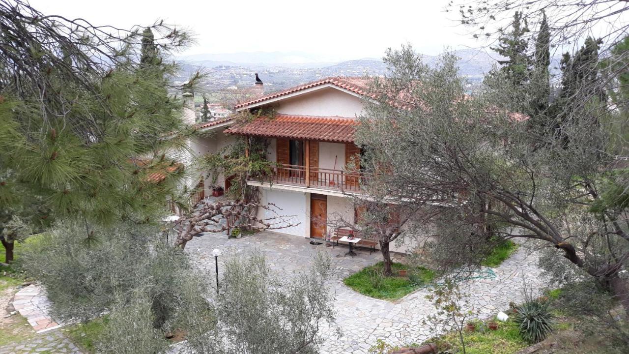 Σπίτι Σε Ελαιώνα, House In An Olive Grove Daire Ária Dış mekan fotoğraf