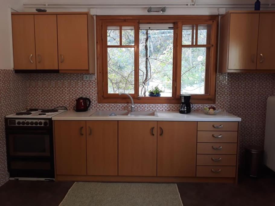 Σπίτι Σε Ελαιώνα, House In An Olive Grove Daire Ária Dış mekan fotoğraf