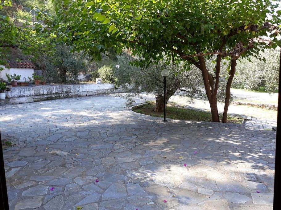 Σπίτι Σε Ελαιώνα, House In An Olive Grove Daire Ária Dış mekan fotoğraf