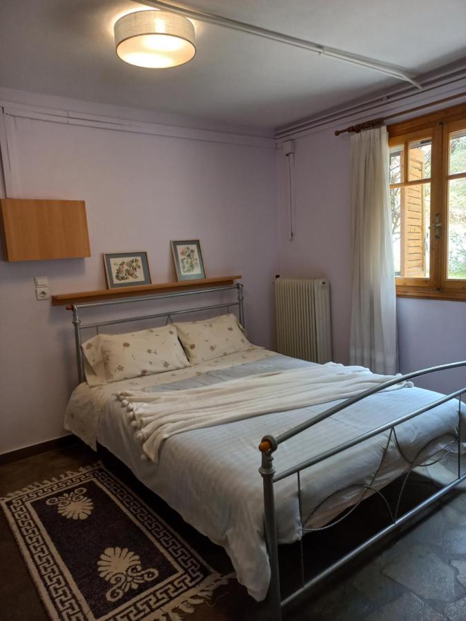 Σπίτι Σε Ελαιώνα, House In An Olive Grove Daire Ária Dış mekan fotoğraf